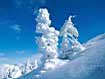 Snow